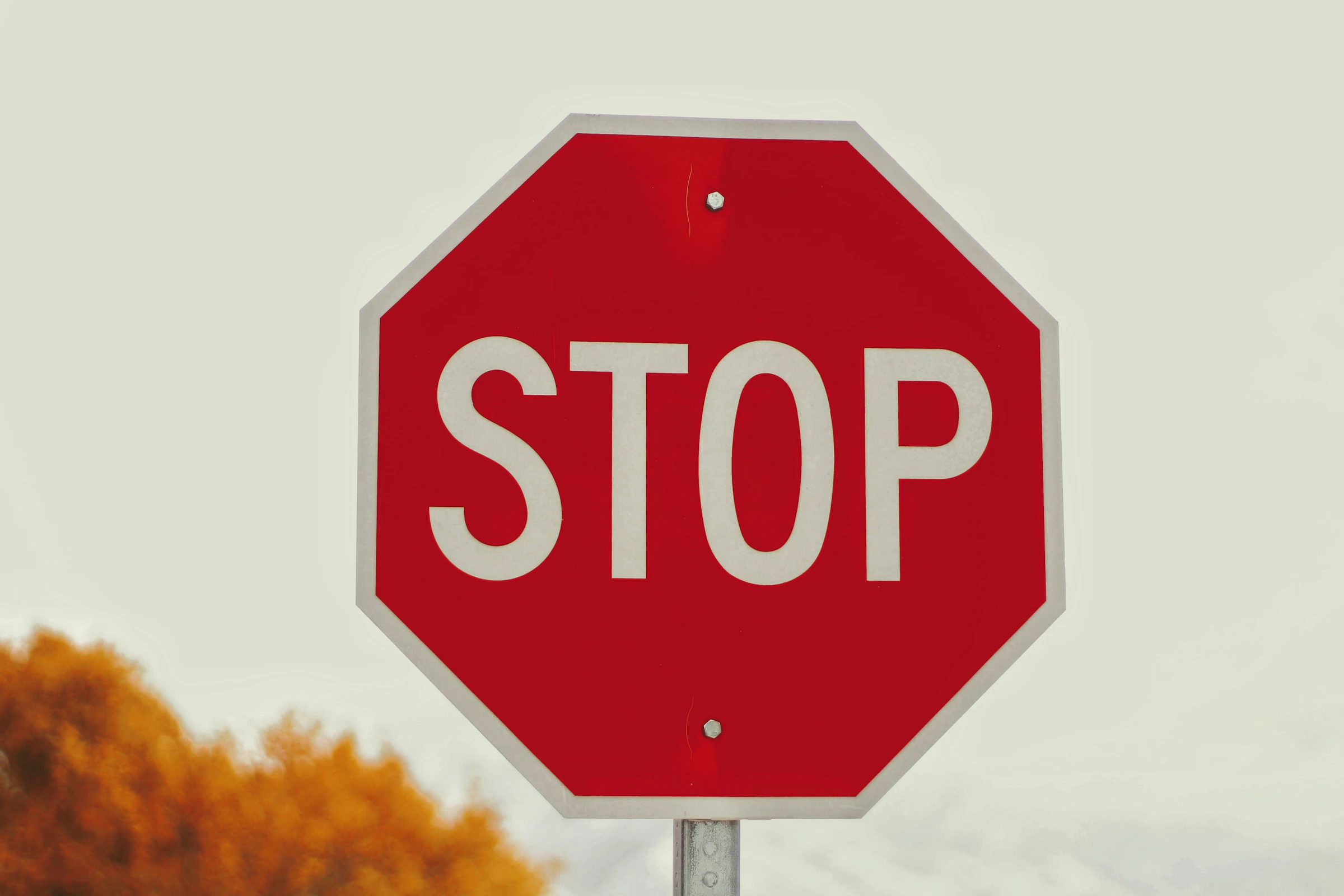 Joshua Hoehne_1760985137027_unsplash_id_WPrTKRw8KRQ